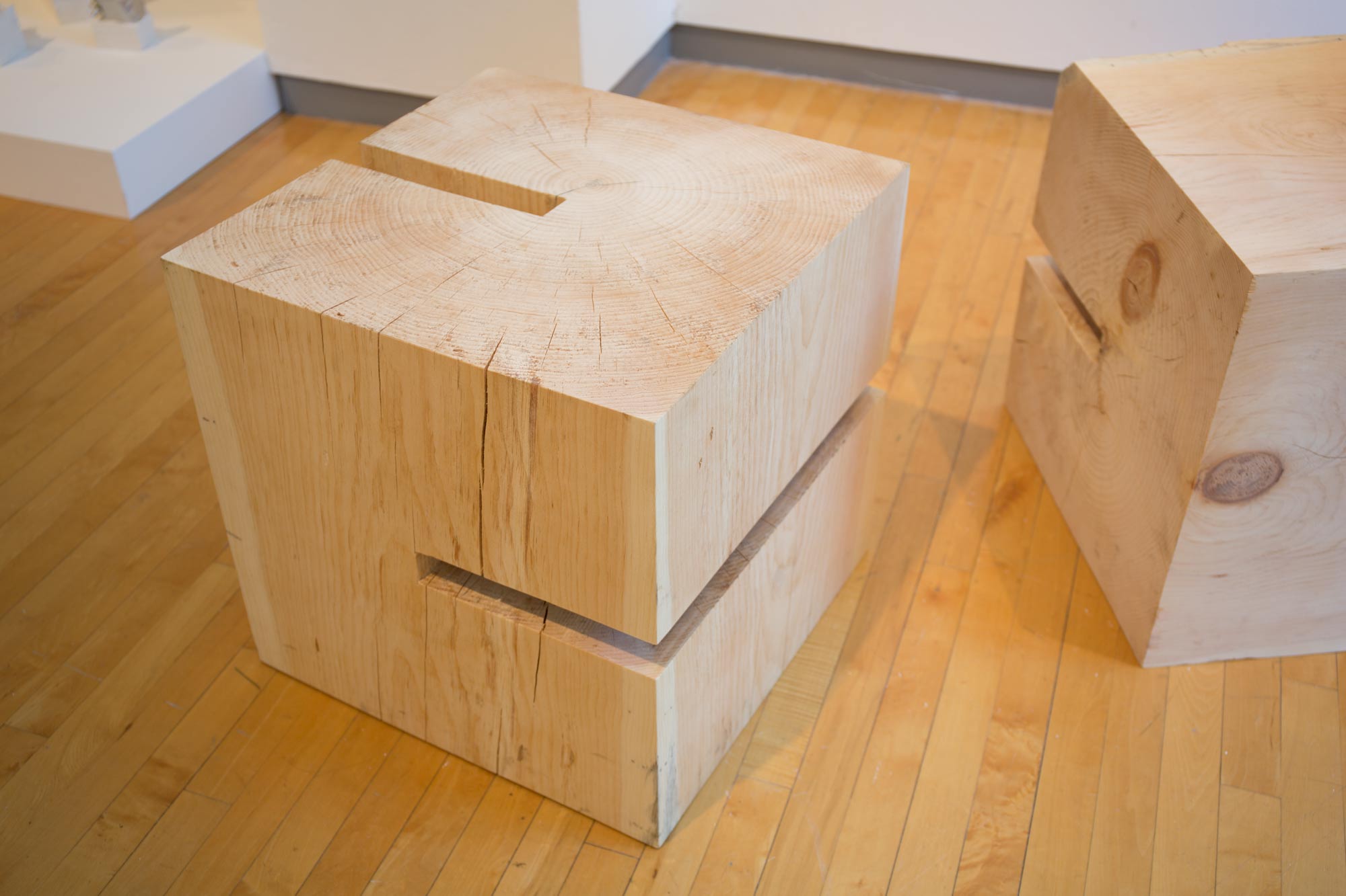 Intersect Tim Miller